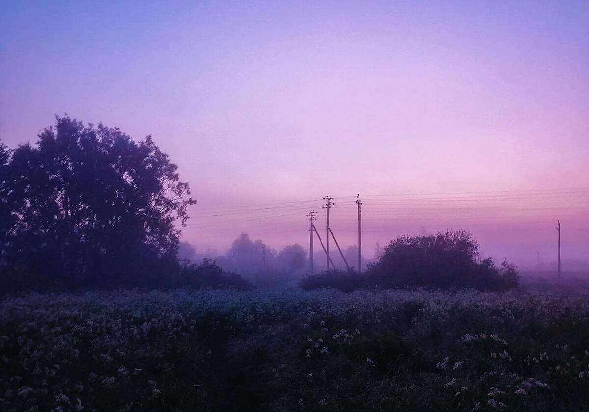 乐鱼-九游体育app官网：智慧下注，掌控每一场激情
